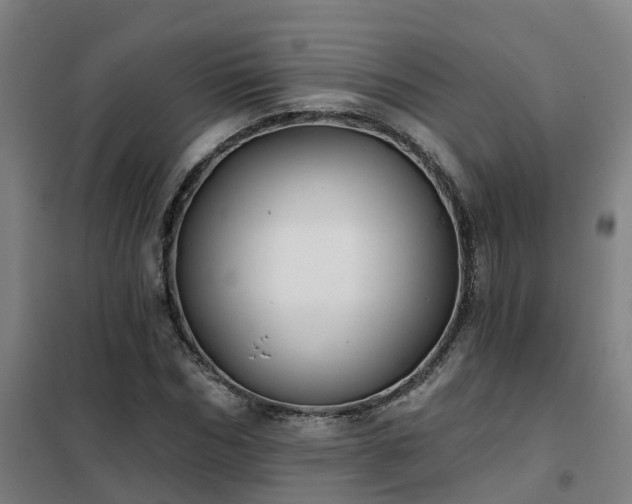 X0000102020970200807251328