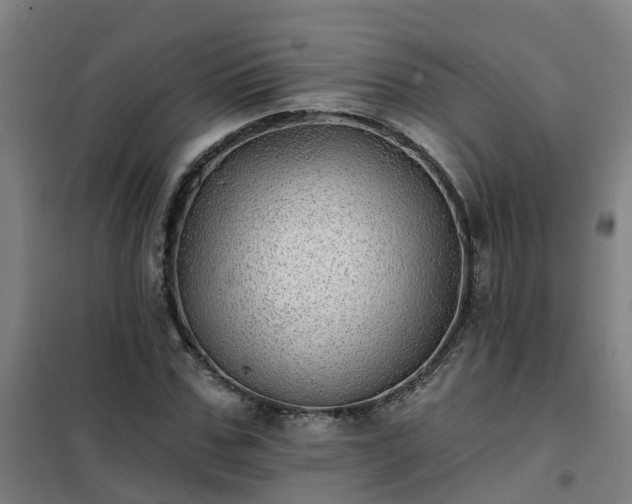 X0000102020971200807251328