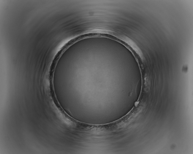 X0000102020972200807251328
