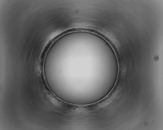X0000102020974200807251328