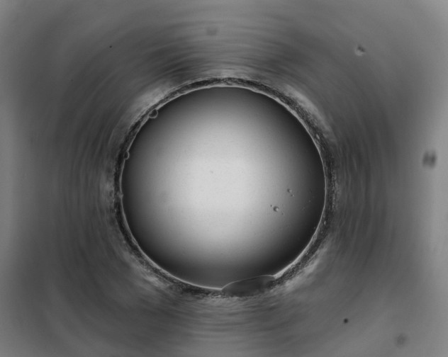 X0000102020977200807251328