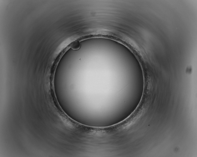 X0000102020978200807251328