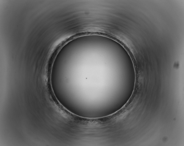 X0000102020979200807251328