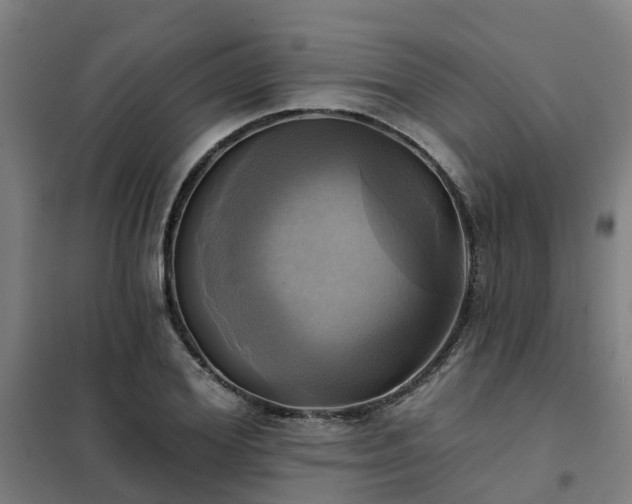 X0000102020980200807251328