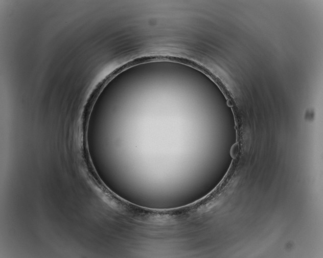 X0000102020982200807251328