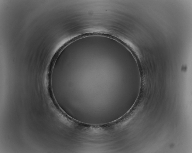 X0000102020983200807251328