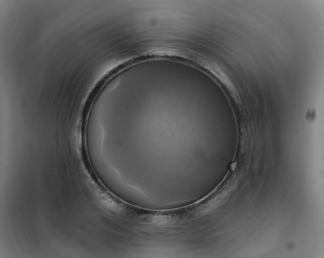 X0000102020984200807251328