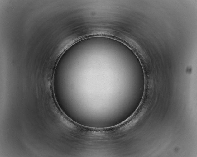 X0000102020985200807251328