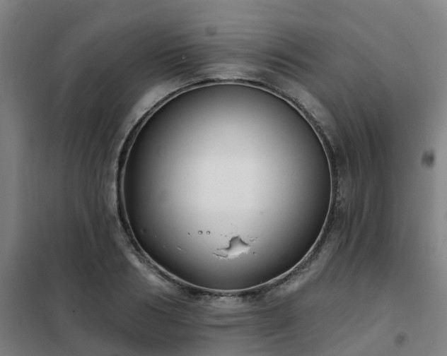 X0000102020986200807251328