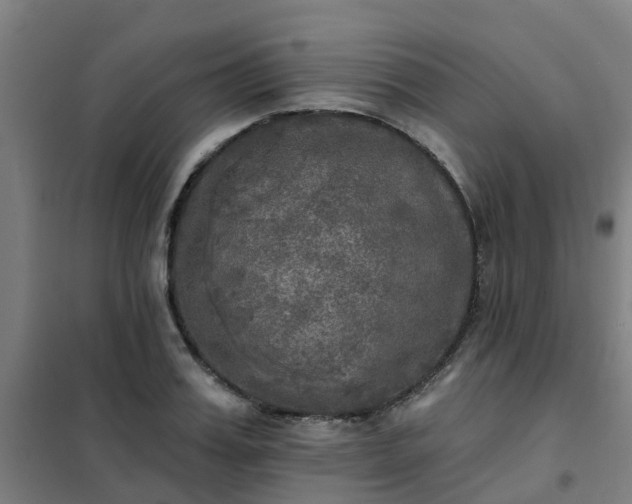 X0000102020987200807251328