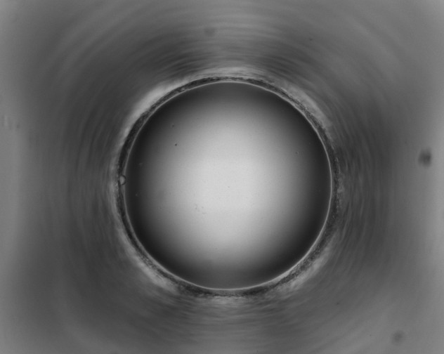X0000102020989200807251328