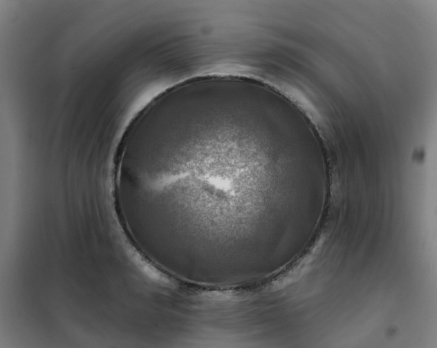 X0000102020990200807251328