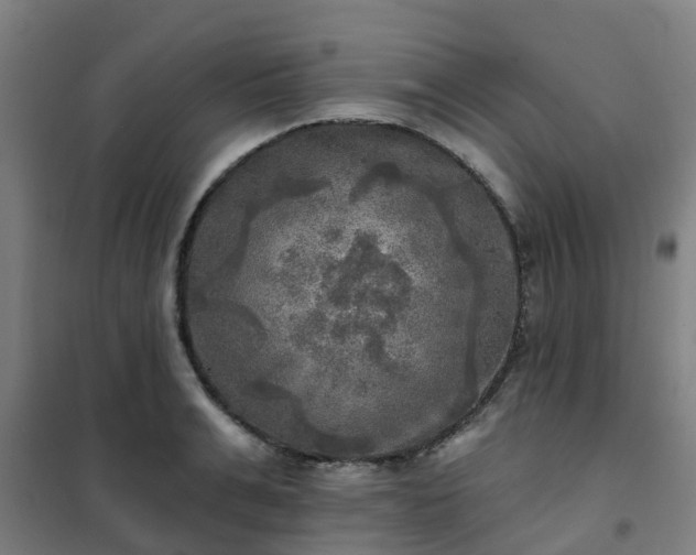 X0000102020991200807251328