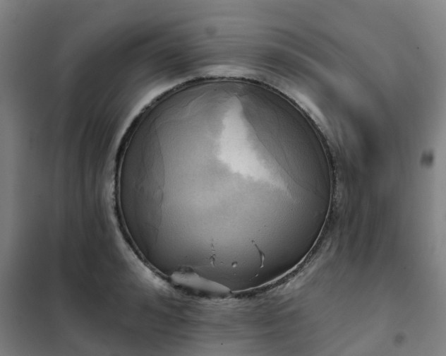 X0000102020992200807251328