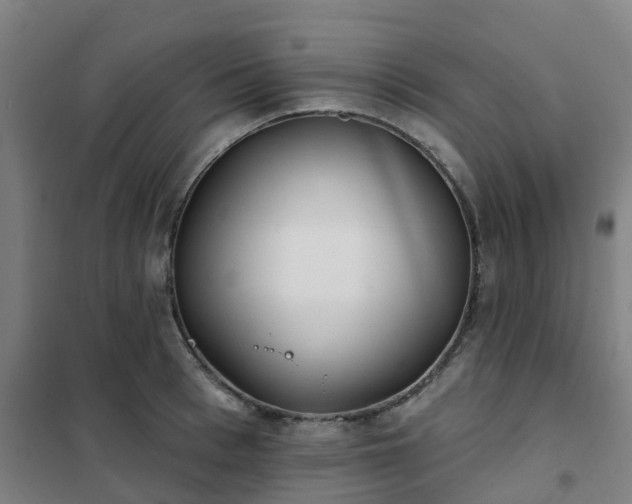 X0000102020993200807251328