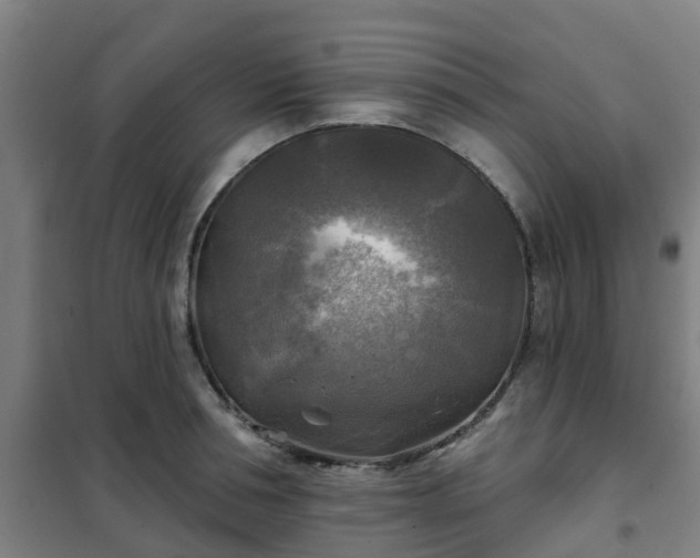 X0000102020994200807251328