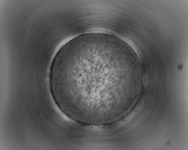 X0000102020995200807251327