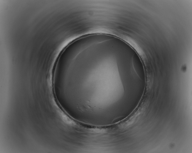 X0000102020996200807251327