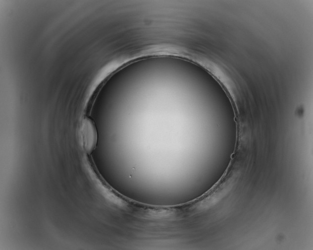 X0000102020997200807251327
