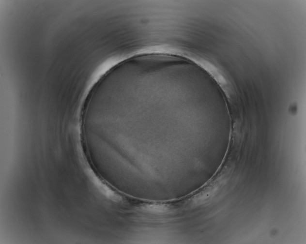 X0000102020998200807251327