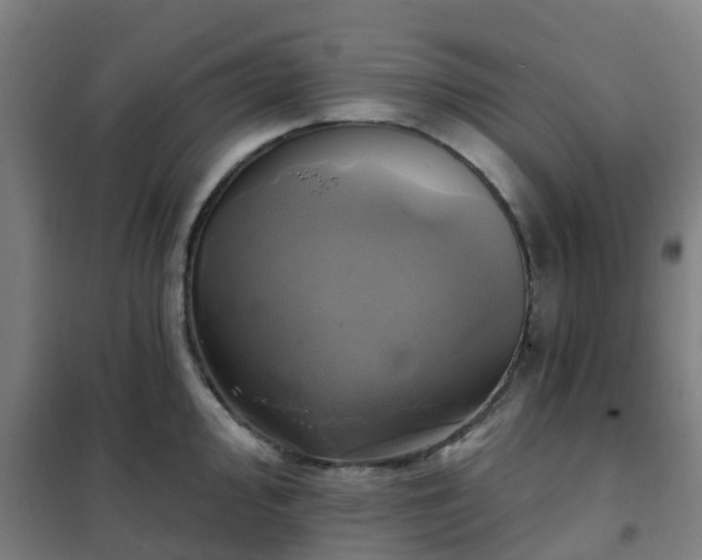 X0000102021000200807251327
