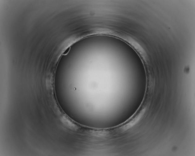 X0000102021001200807251327