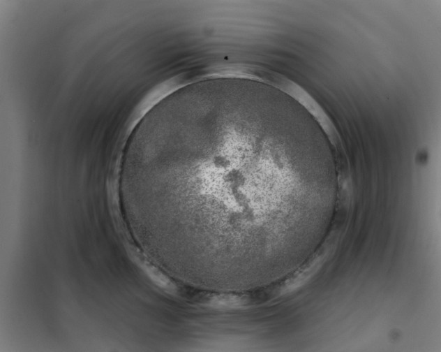 X0000102021002200807251327