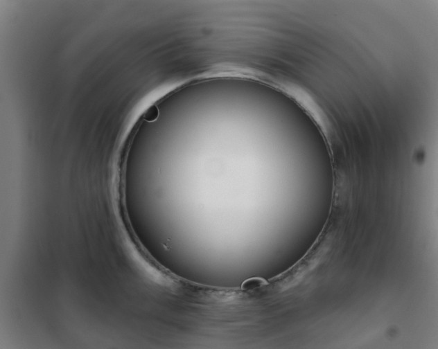 X0000102021003200807251327