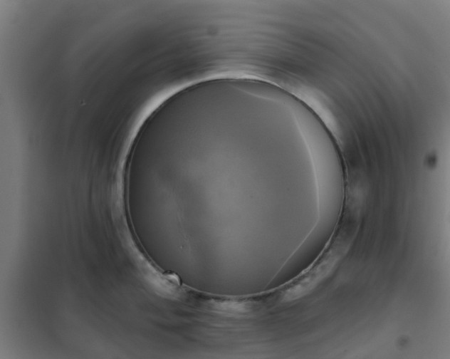 X0000102021004200807251327