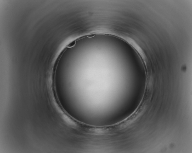 X0000102021005200807251327