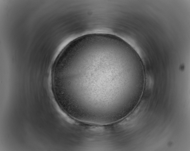 X0000102021006200807251327