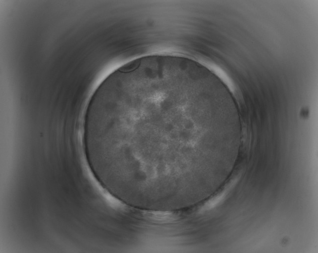 X0000102021007200807251327