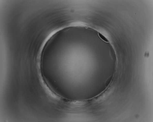 X0000102021008200807251327