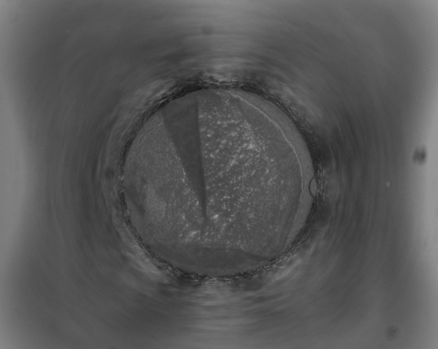 X0000102021009200807251327