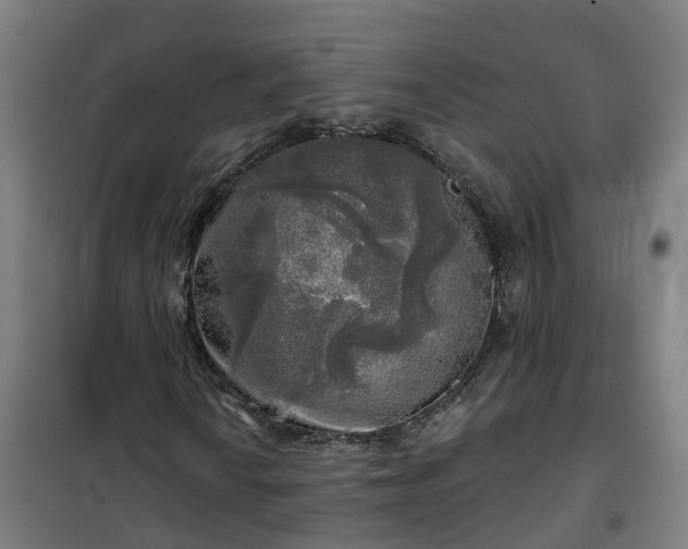 X0000102021010200807251327