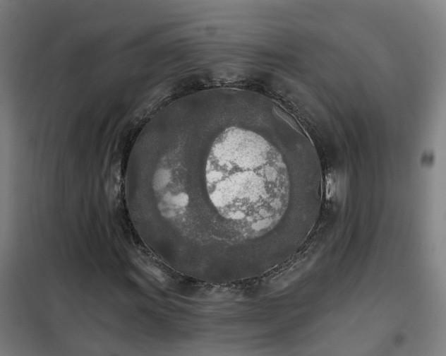 X0000102021011200807251327