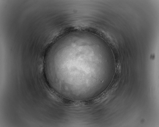 X0000102021012200807251327