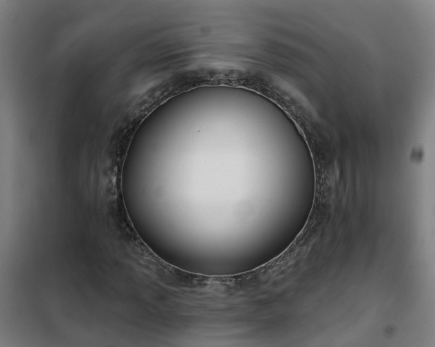 X0000102021013200807251327