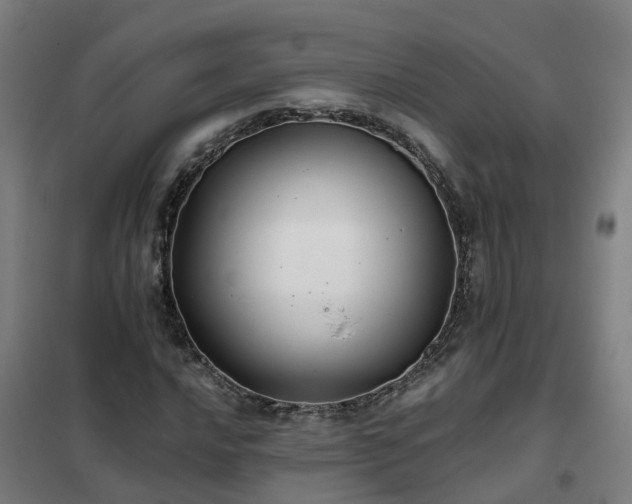 X0000102021016200807251327