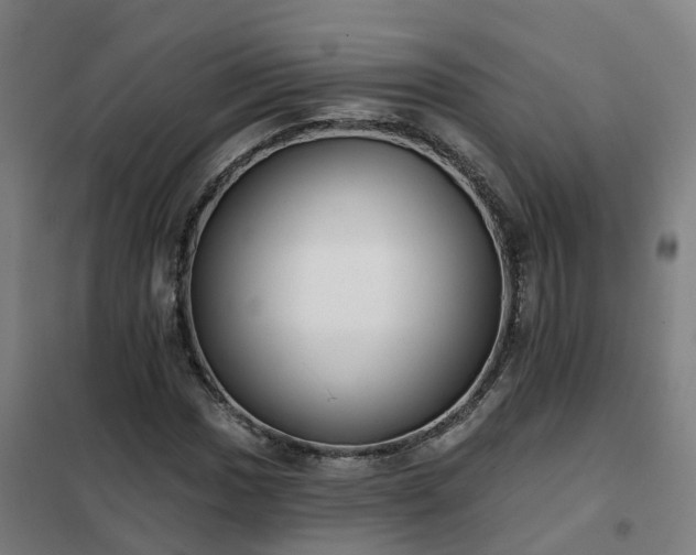 X0000102021017200807251327