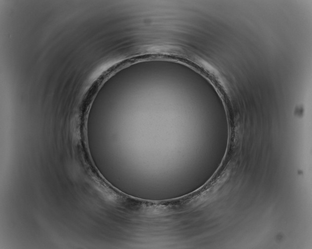 X0000102021019200807251327