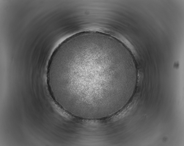 X0000102021020200807251327