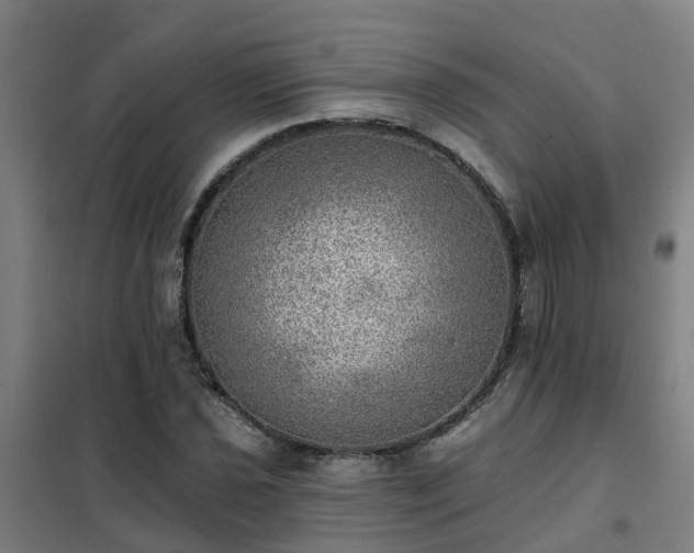 X0000102021021200807251327