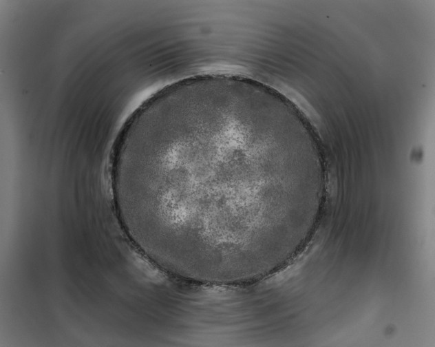 X0000102021022200807251327