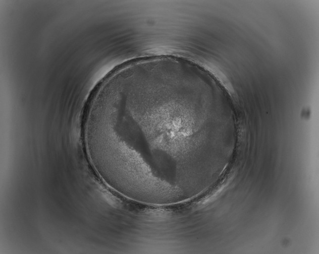 X0000102021023200807251327
