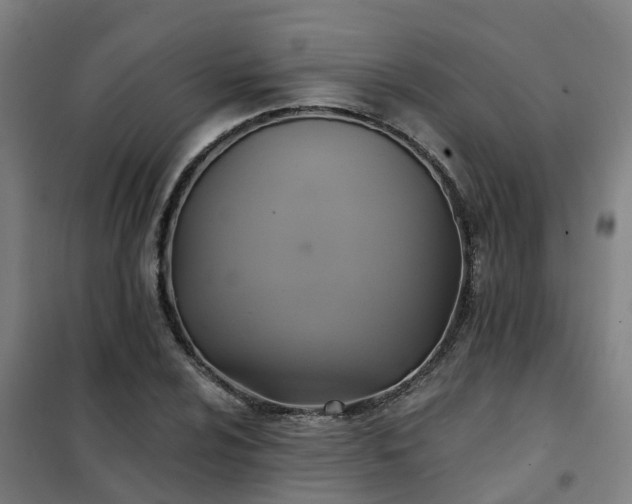X0000102021024200807251327