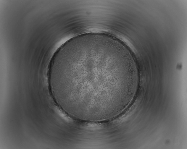 X0000102021026200807251327