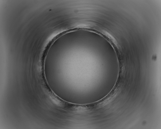 X0000102021027200807251327