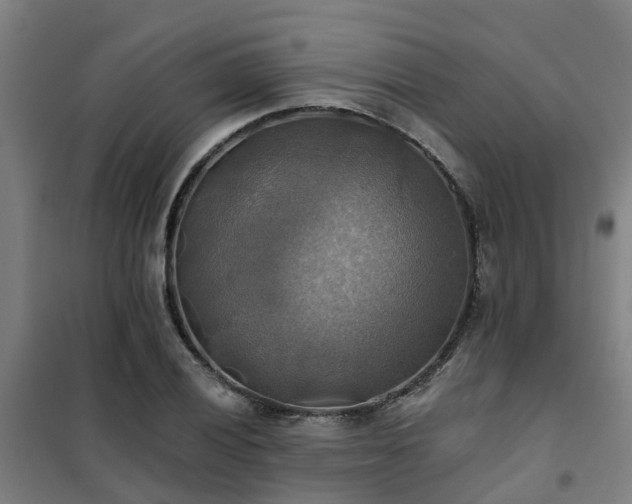 X0000102021028200807251327