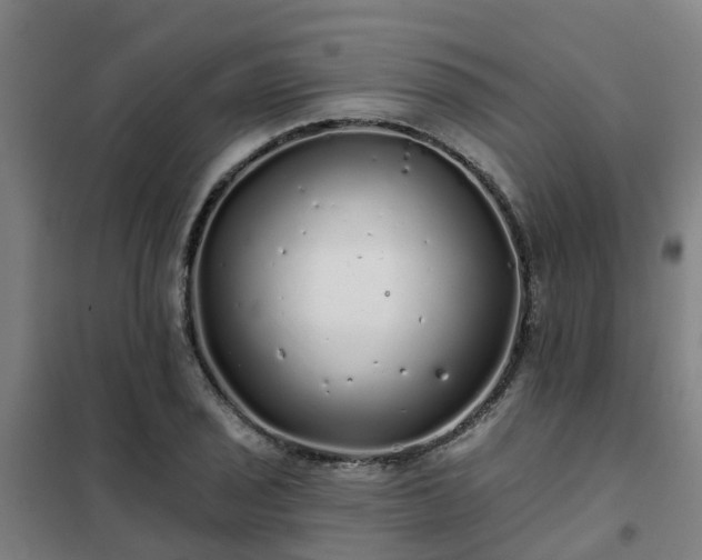 X0000102021029200807251327